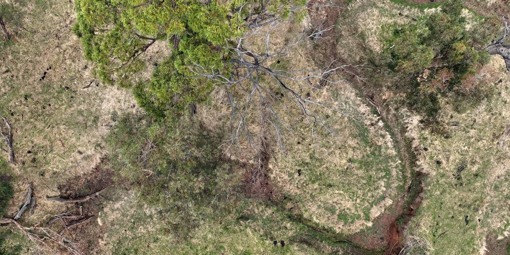 Aerial of a restored waterway winding through the landscape